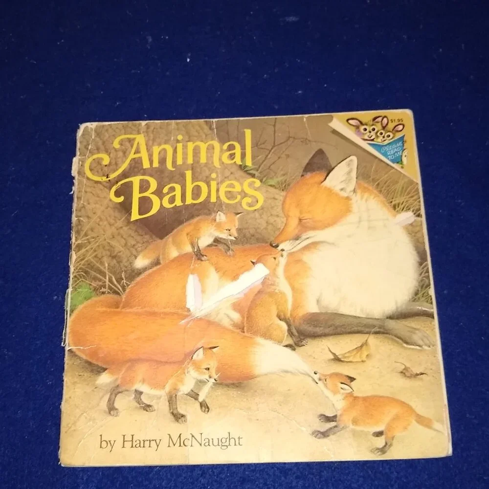 Animal Babies + Little Red Hen + Christmas Cats + Wonders of the Forest x 4 Set